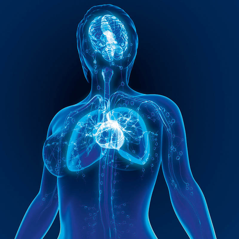 Spirotech - l’eau du système